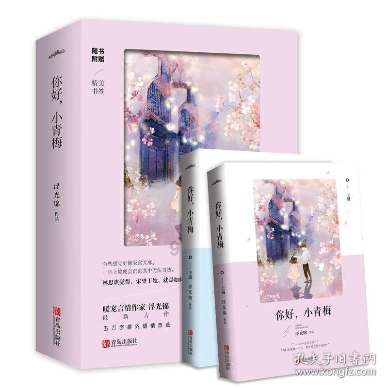 吉利旗下远程新能源商用车首次进入土耳其市场