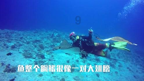 恩比德单挑文班高弧度中投 第二节3分多钟完成连续第21场30+!